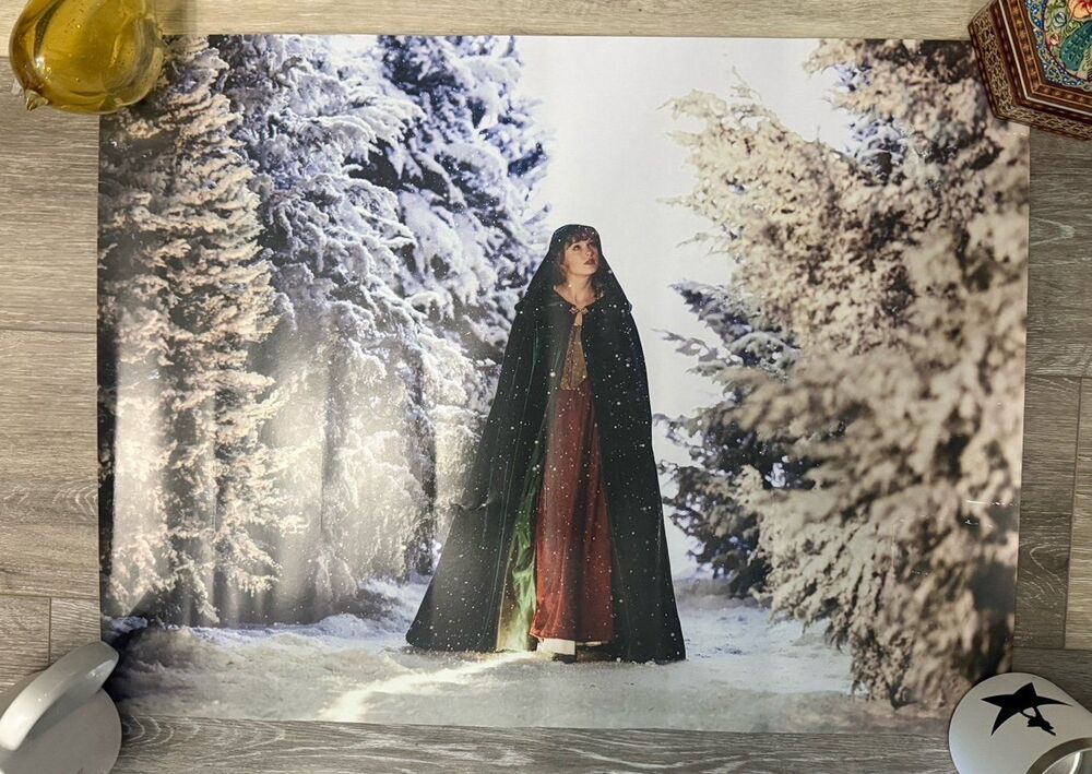 Taylor Swift The Wildest Winter Lithograph Poster - Evermore, read description!